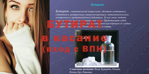 гашик Богданович