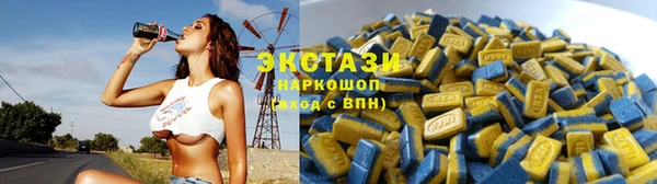 гидра Богородск