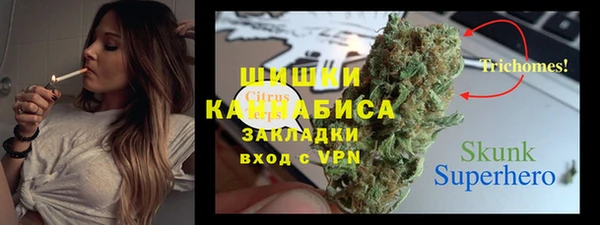 гашик Богданович