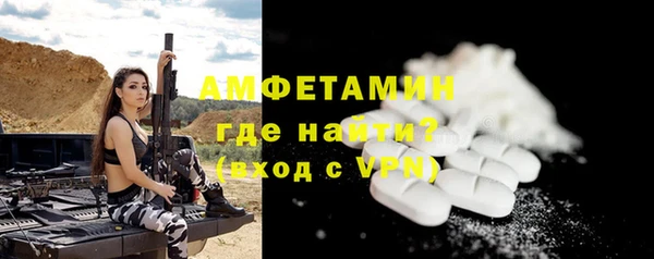 гидра Богородск