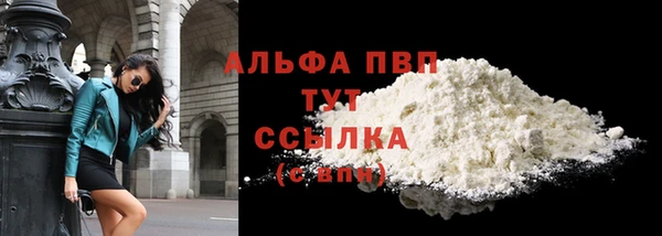гашик Богданович