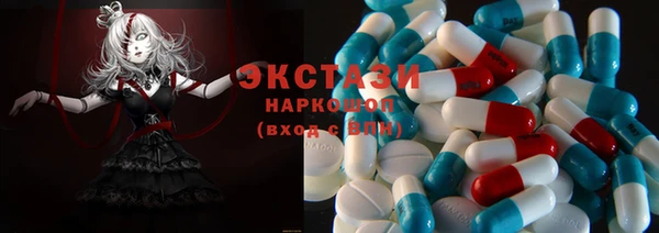 гашик Богданович