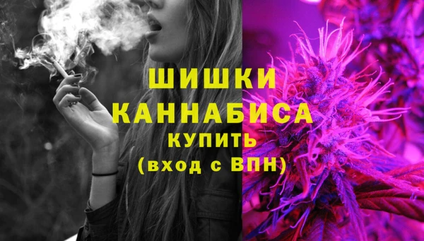 гашик Богданович