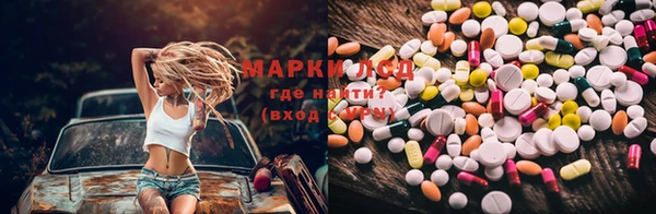гашик Богданович
