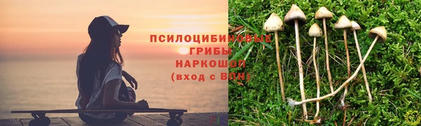 гашик Богданович