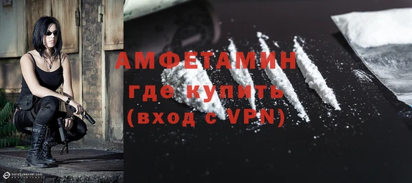 гидра Богородск