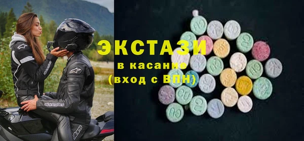 гидра Богородск