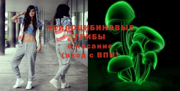 гашик Богданович